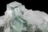 Green Cubic Fluorite and Calcite Crystal Cluster - Fluorescent! #93658-3